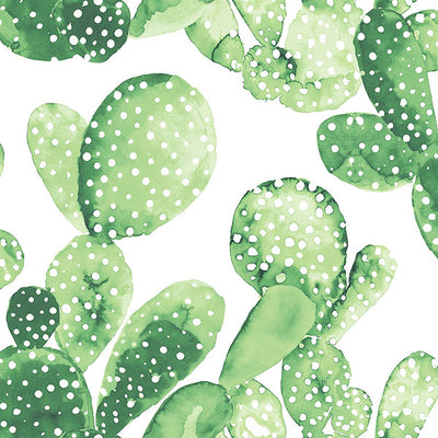 product image for Mimi Green Cactus Wallpaper from Design Department by Brewster 96
