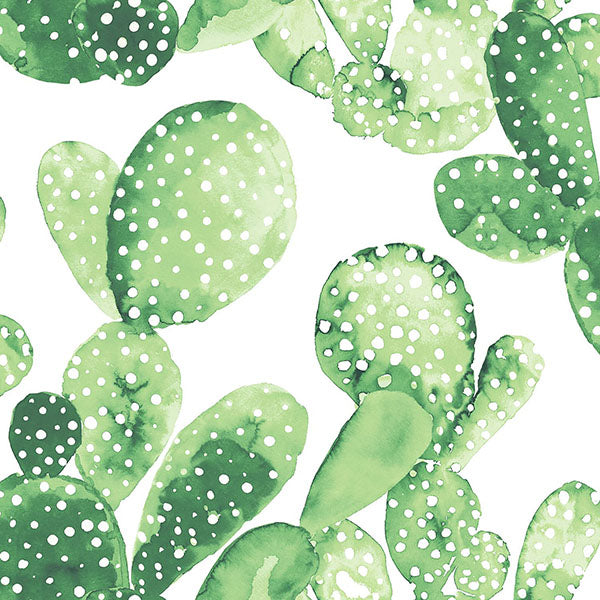 media image for Mimi Green Cactus Wallpaper from Design Department by Brewster 298