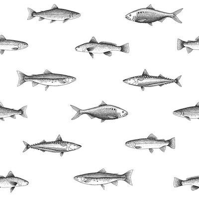 product image of sample fiyero off white fish wallpaper from design department by brewster 1 512