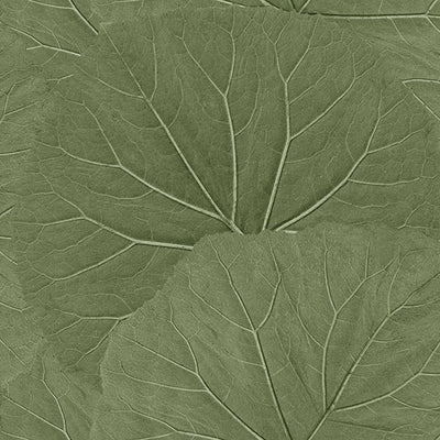 product image of Xylem Olive Large Leaves Wallpaper from Design Department by Brewster 543