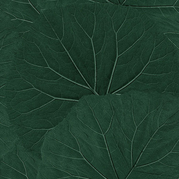 media image for Xylem Evergreen Large Leaves Wallpaper from Design Department by Brewster 257