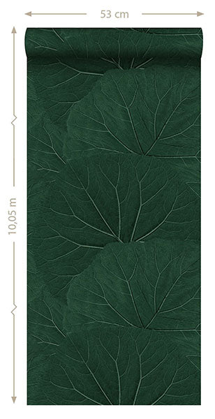 product image for Xylem Evergreen Large Leaves Wallpaper from Design Department by Brewster 1