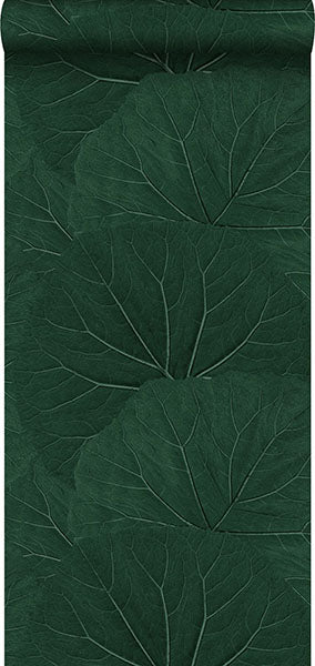 media image for Xylem Evergreen Large Leaves Wallpaper from Design Department by Brewster 295