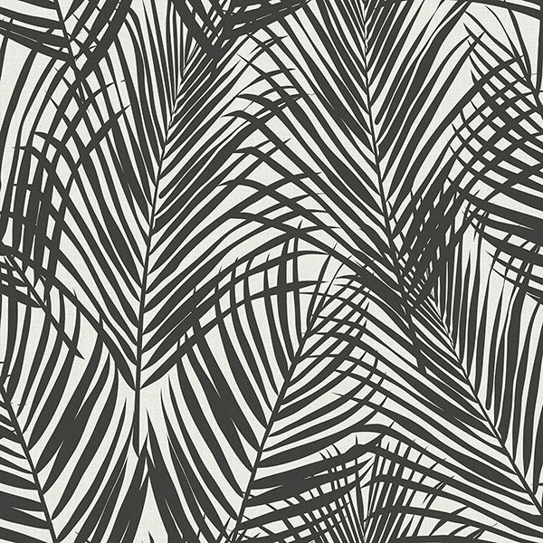 media image for sample fifi black palm frond wallpaper from design department by brewster 1 265