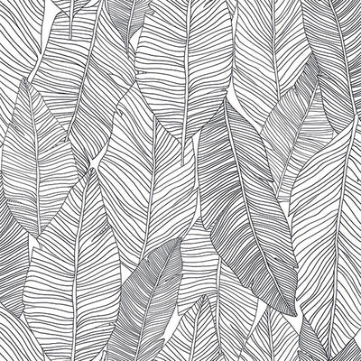 product image of Thuy Grey Banana Leaves Wallpaper from Design Department by Brewster 584