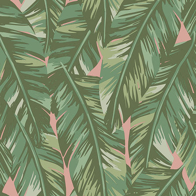 product image of sample dumott olive tropical leaves wallpaper from design department by brewster 1 596