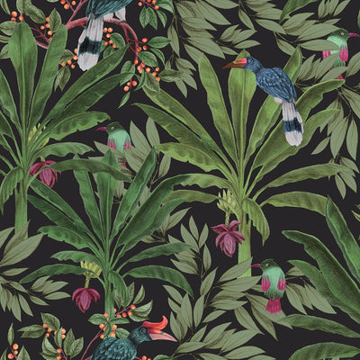 product image of sample carola black jungle tropics wallpaper from design department by brewster 1 54