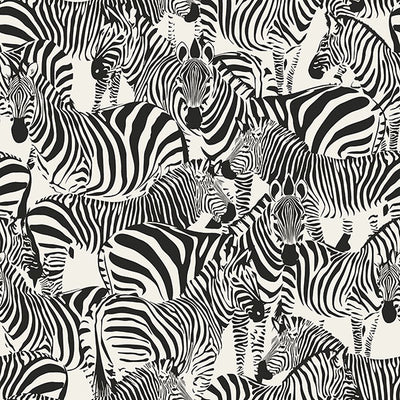 product image of Jemima Black Zebra Wallpaper from Design Department by Brewster 55