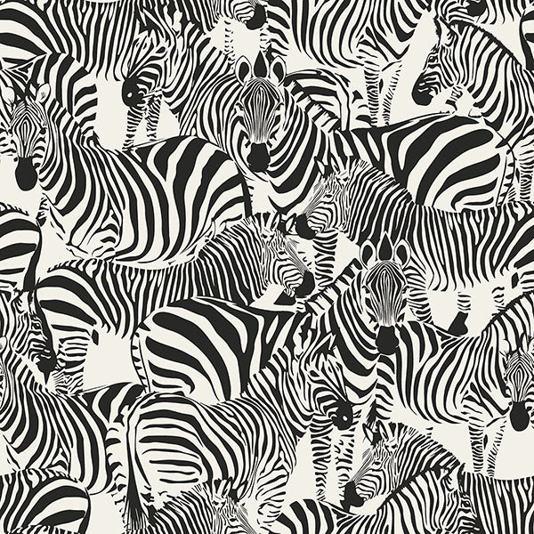 media image for Jemima Black Zebra Wallpaper from Design Department by Brewster 26