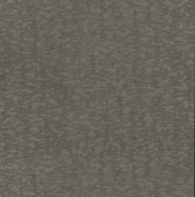 product image for Weathered Cypress Wallpaper in Silver from the Dazzling Dimensions Vol. 2 Collection by Antonina Vella 48