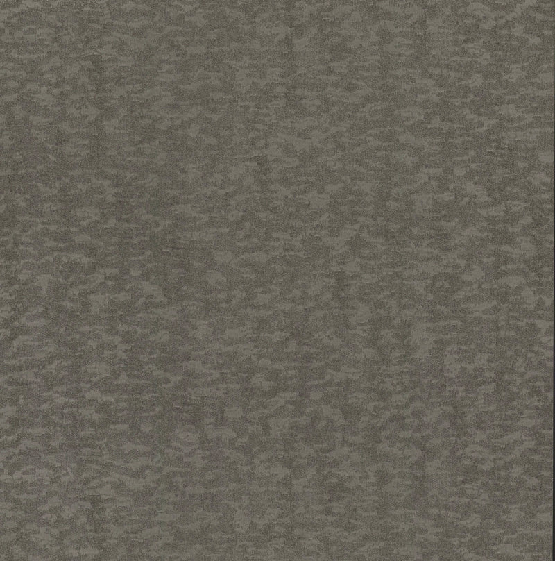 media image for Weathered Cypress Wallpaper in Silver from the Dazzling Dimensions Vol. 2 Collection by Antonina Vella 211