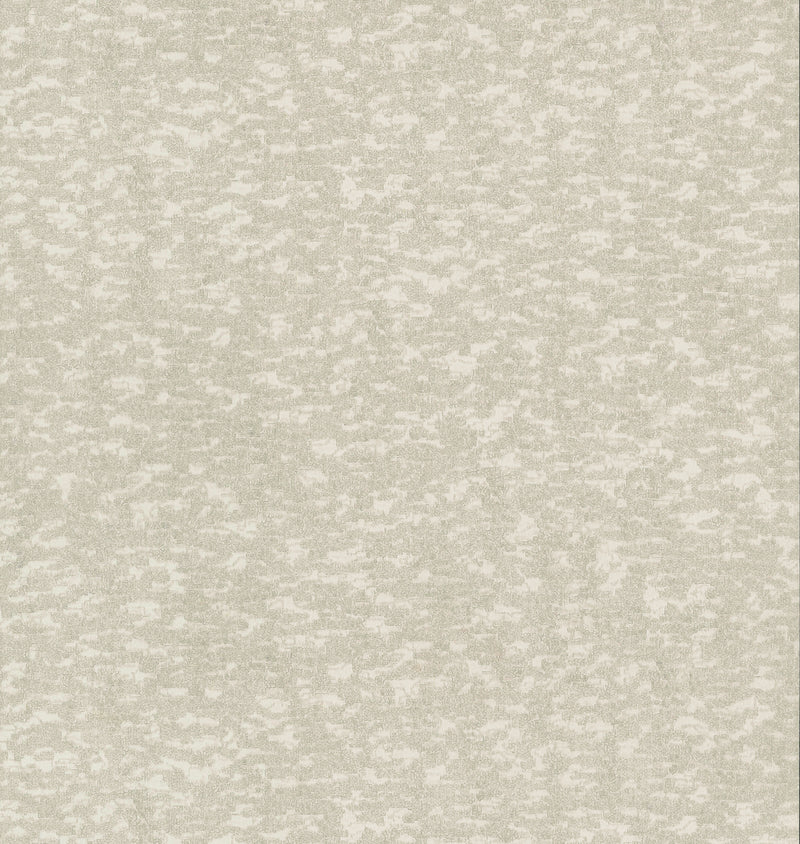 media image for sample weathered cypress wallpaper in white from the dazzling dimensions vol 2 collection by antonina vella 1 232