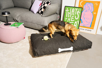 product image for Doggielounge Outdoor Dog Bed 25