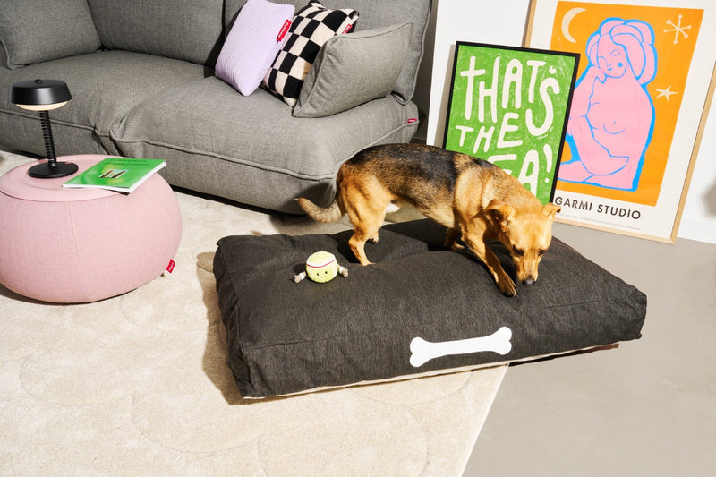 media image for Doggielounge Outdoor Dog Bed 275