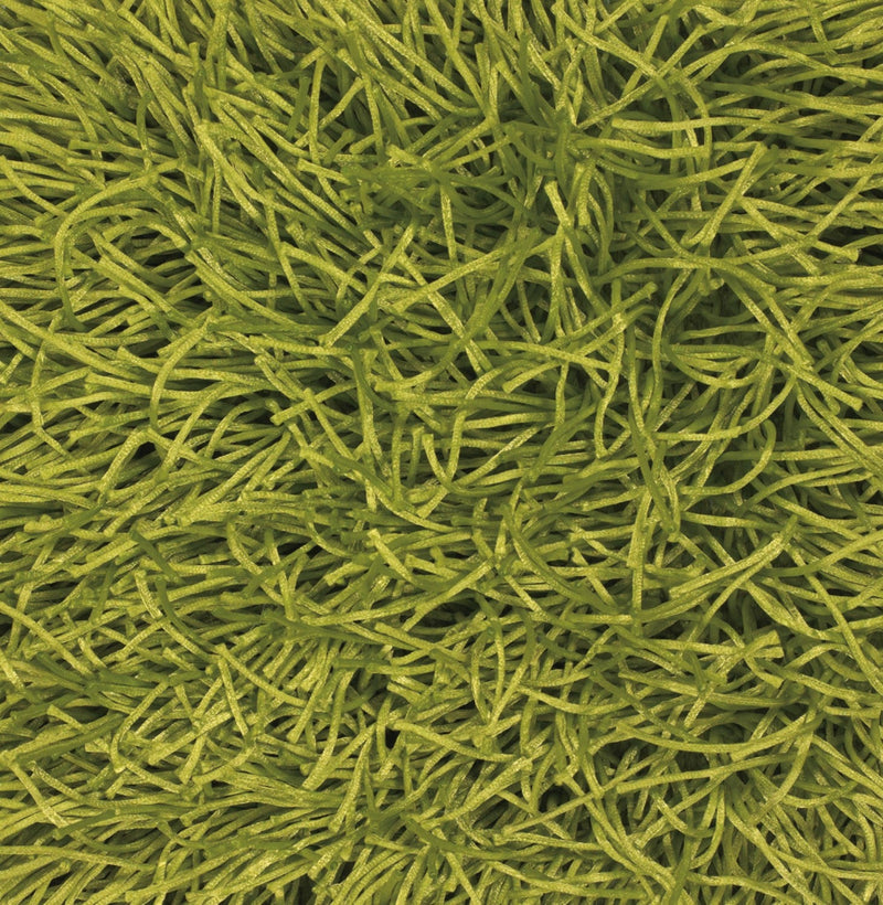 media image for duke green hand woven shag rug by chandra rugs duk20900 576 2 274