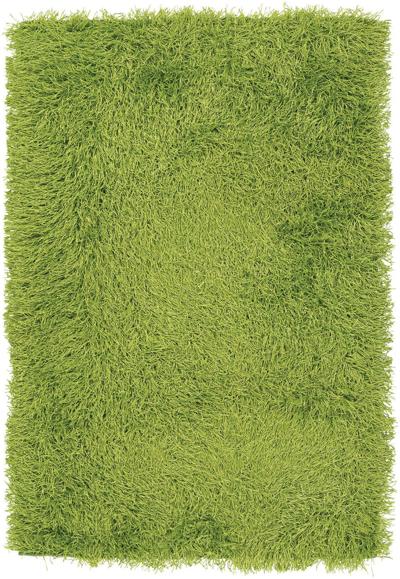 media image for duke green hand woven shag rug by chandra rugs duk20900 576 1 24