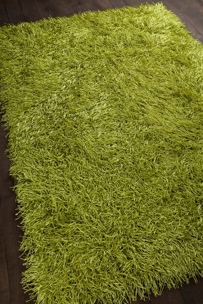 product image for duke green hand woven shag rug by chandra rugs duk20900 576 5 4
