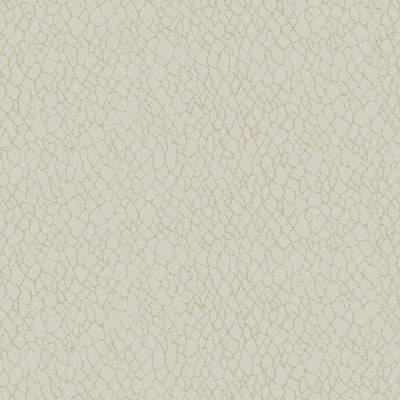 product image for Webbing Geometric Wallpaper in Cream 43