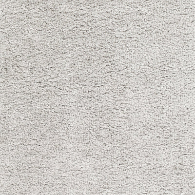 product image for Deluxe Shag DXS-2302 Rug in Light Gray by Surya 86