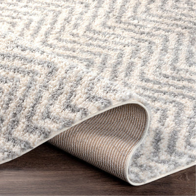 product image for Deluxe Shag DXS-2307 Rug in Medium Grey & White by Surya 78
