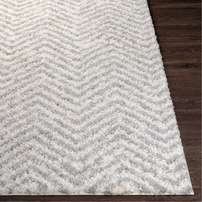 product image for Deluxe Shag DXS-2307 Rug in Medium Grey & White by Surya 54