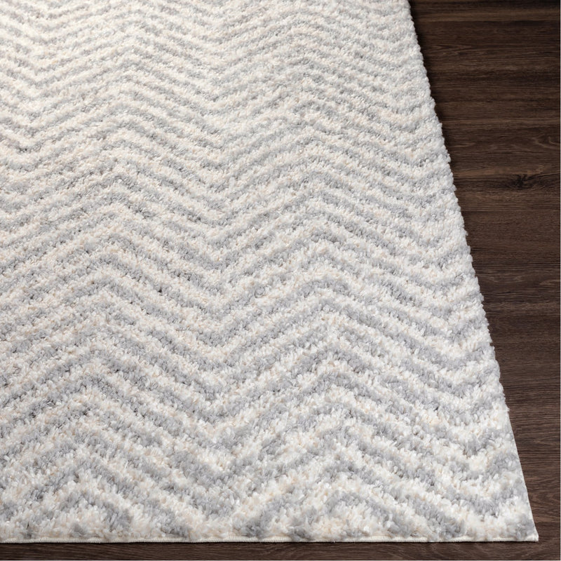 media image for Deluxe Shag DXS-2307 Rug in Medium Grey & White by Surya 241