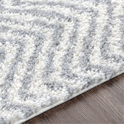 product image for Deluxe Shag DXS-2307 Rug in Medium Grey & White by Surya 58