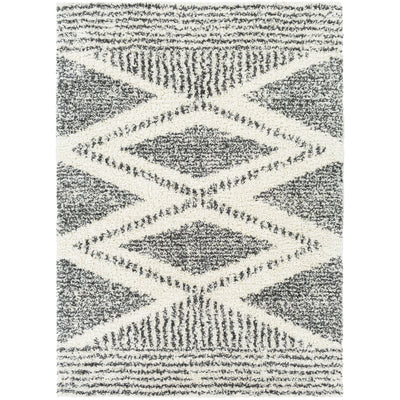 product image for Deluxe Shag DXS-2309 Rug in Charcoal & Cream by Surya 91