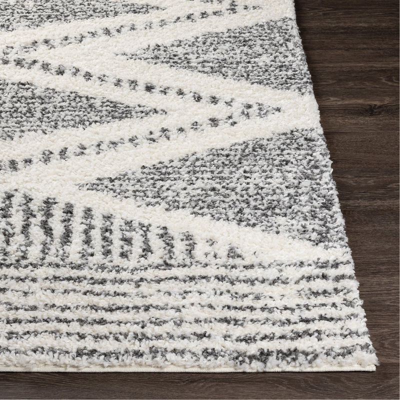 media image for Deluxe Shag DXS-2309 Rug in Charcoal & Cream by Surya 290