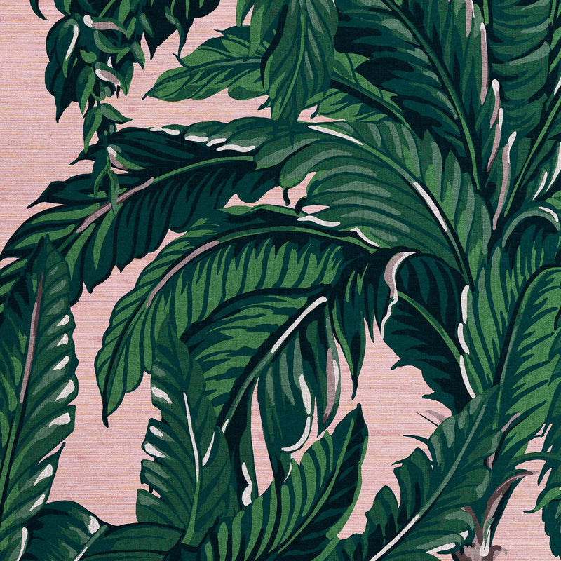 media image for Daintree Palm Wallpaper in Blush from the Exclusives Collection by Graham & Brown 28