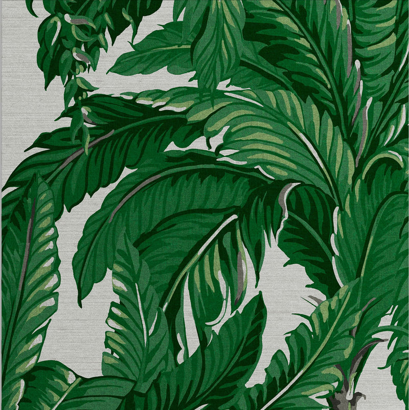 media image for Daintree Palm Wallpaper in Pearl from the Exclusives Collection by Graham & Brown 263