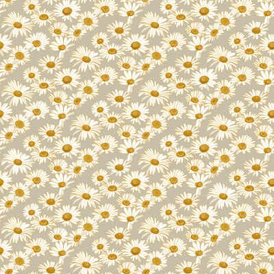 product image of Daisies Self-Adhesive Wallpaper in Greige design by Tempaper 536
