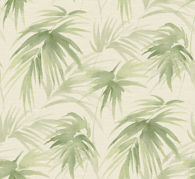 product image of Darlana Grasscloth Wallpaper in Green from the Scott Living Collection by Brewster Home Fashions 513