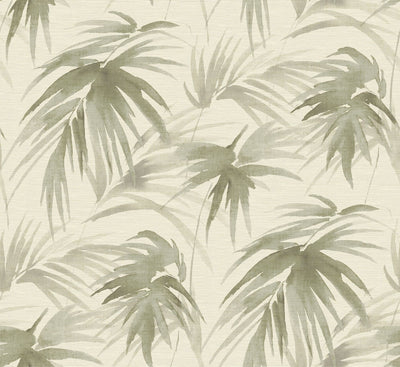 product image of sample darlana grasscloth wallpaper in sage from the scott living collection by brewster home fashions 1 524