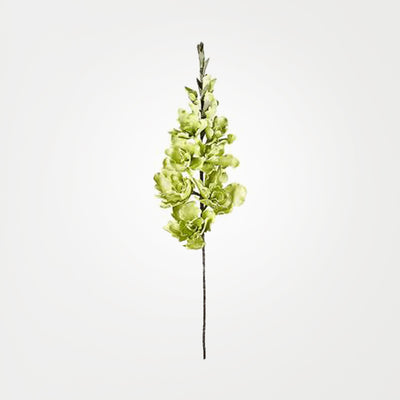 product image for desert gladiolus 14 bloom 50 stem in green design by torre tagus 1 8