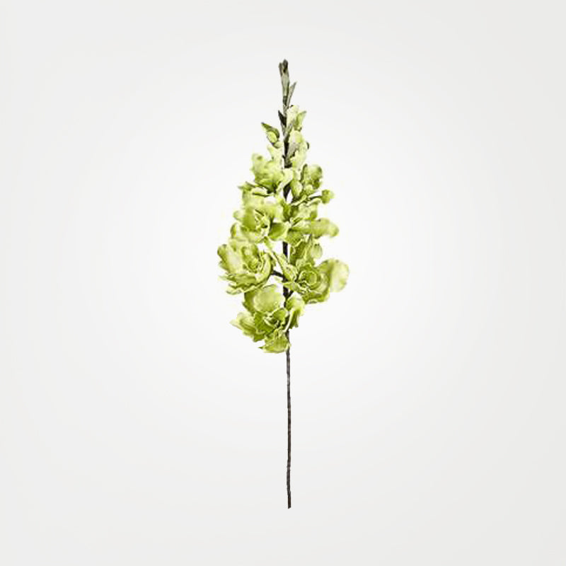 media image for desert gladiolus 14 bloom 50 stem in green design by torre tagus 1 256
