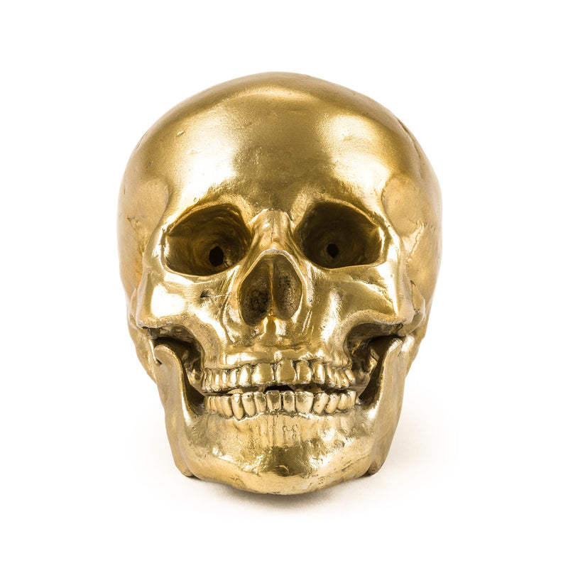 media image for Human Skull design by Seletti 252