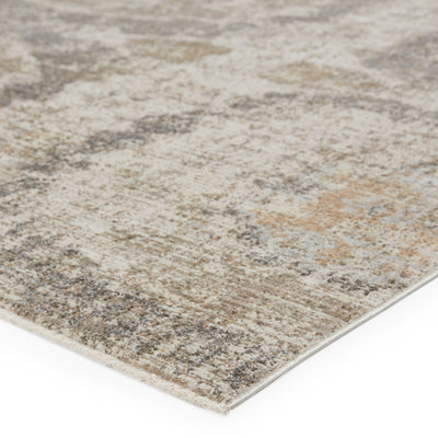 product image for Airi Medallion Rug in Gray & Beige by Jaipur Living 18