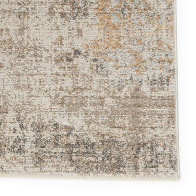 product image for Airi Medallion Rug in Gray & Beige by Jaipur Living 94