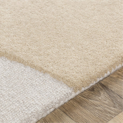 product image for Emma EMM-2300 Hand Tufted Rug in Khaki & Camel by Surya 20