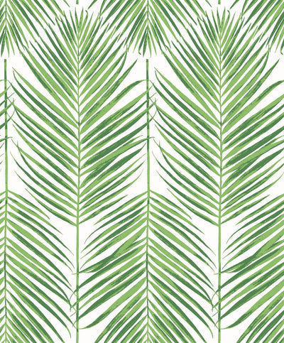 product image of Marina Palm Wallpaper in Summer Fern 552