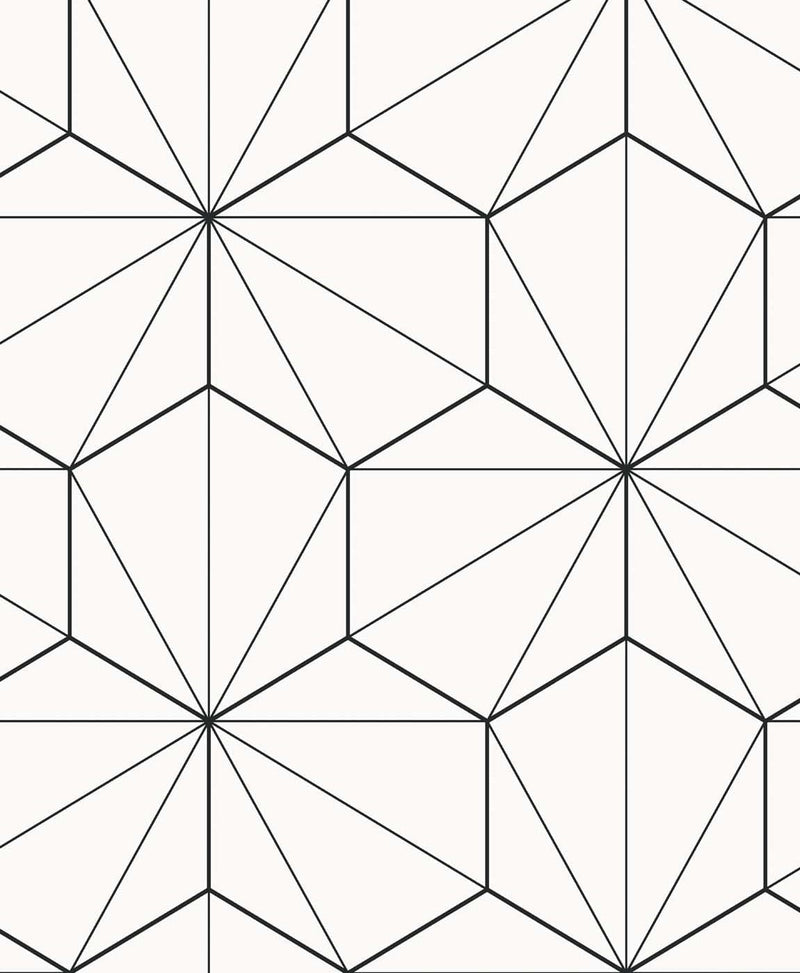 media image for Sample Hedron Geometric Ebony & Eggshell from the Etten Geometric Collection by Seabrook 26