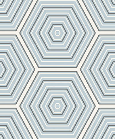 product image of Sample Hex Topography Sky Blue & Argos Grey from the Etten Geometric Collection by Seabrook 592