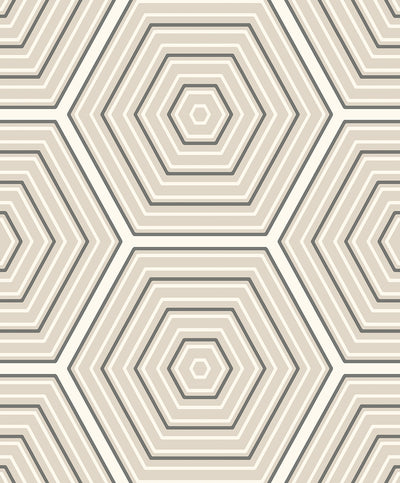 product image for Hex Topography Lunar Rock & Argos Grey from the Etten Geometric Collection by Seabrook 79