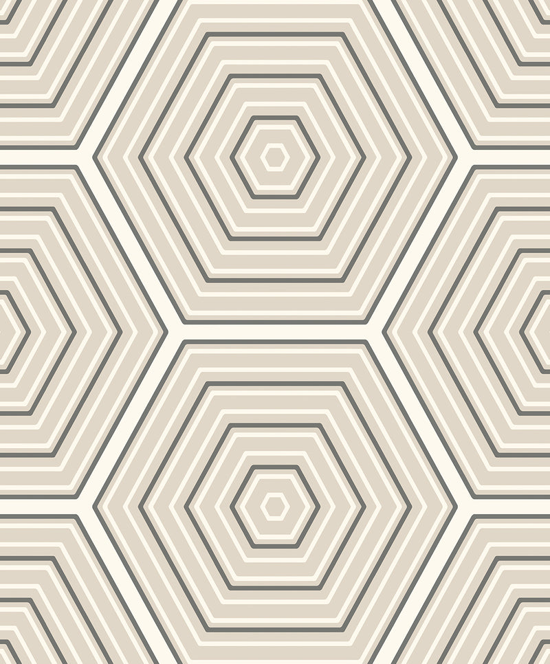 media image for Sample Hex Topography Lunar Rock & Argos Grey from the Etten Geometric Collection by Seabrook 264