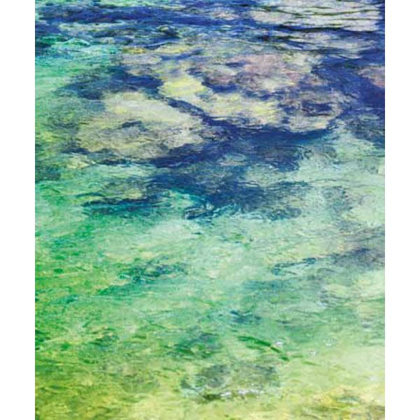 media image for El Aqua Aqua Tropical Moire Sea Wall Mural by Eijffinger for Brewster Home Fashions 250