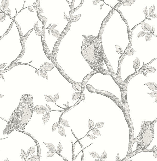 media image for Enchanted Forest Grey Owl & Tree Wallpaper from the Essentials Collection by Brewster Home Fashions 254