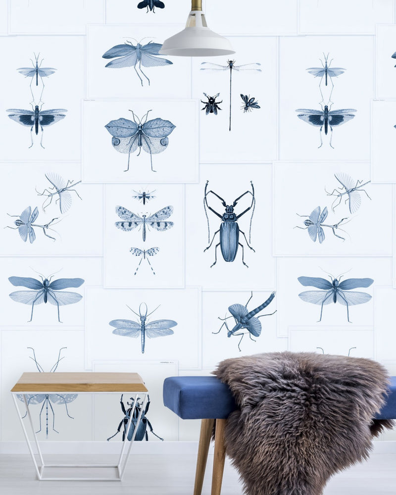media image for Entomology Blue Wallpaper from Collection II by Mind the Gap 246