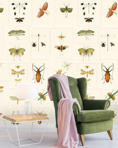 product image for Entomology Wallpaper from Collection II by Mind the Gap 52