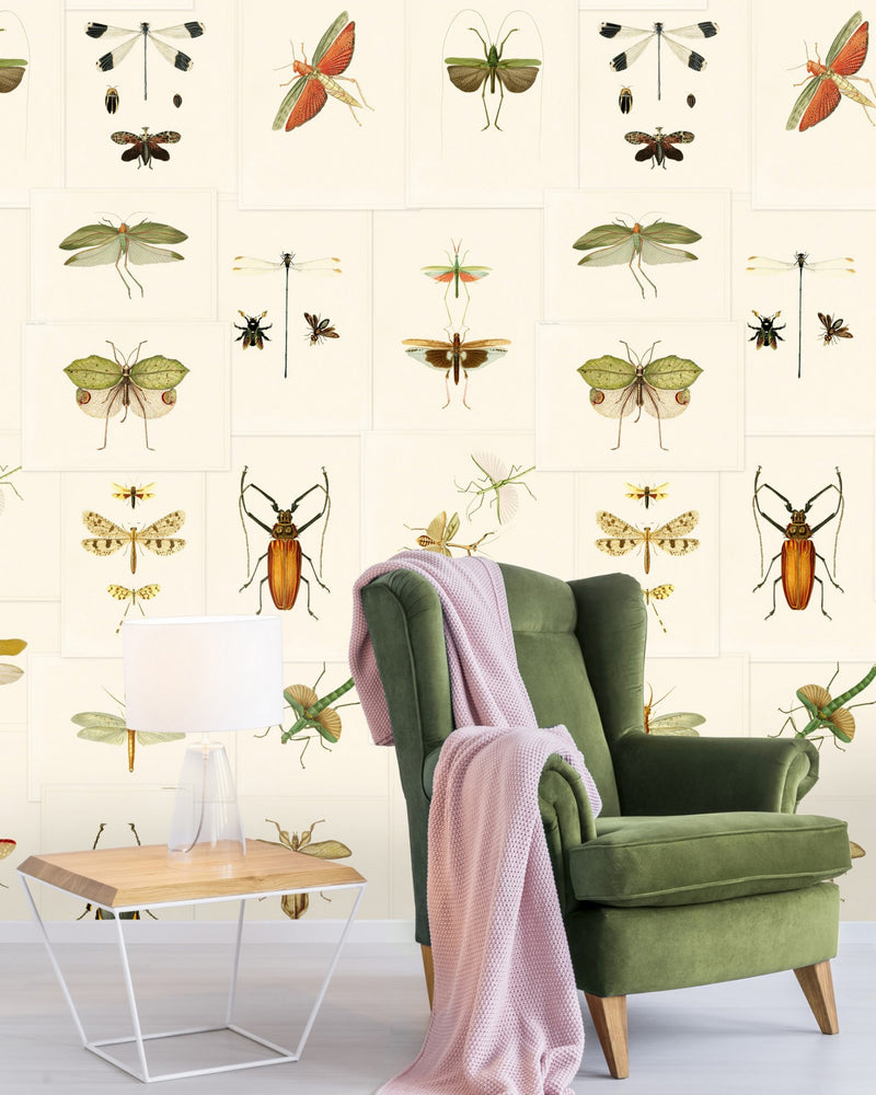 media image for Entomology Wallpaper from Collection II by Mind the Gap 214
